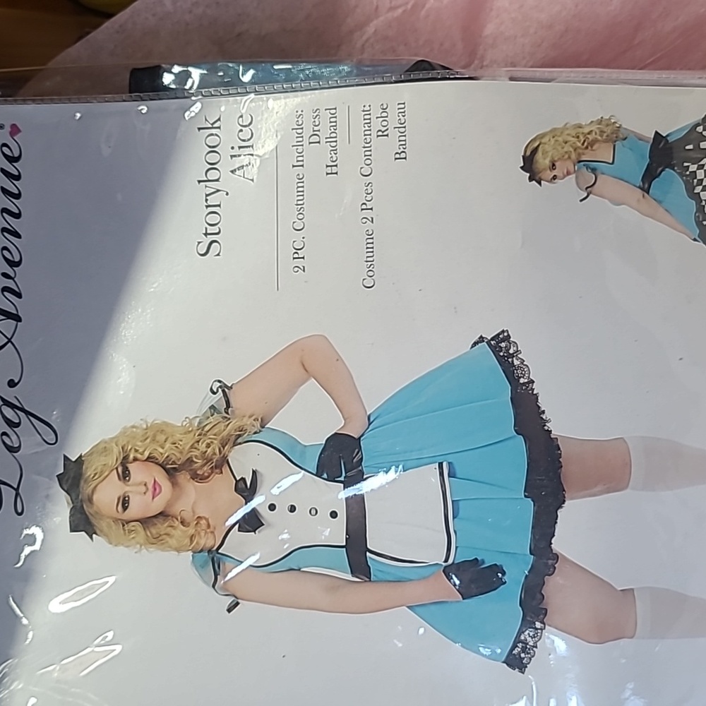 Adult  costume